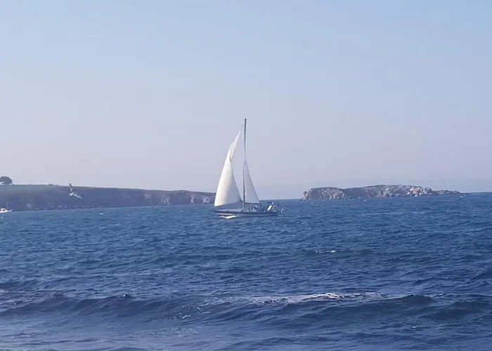 Antique Къща за гости 3*