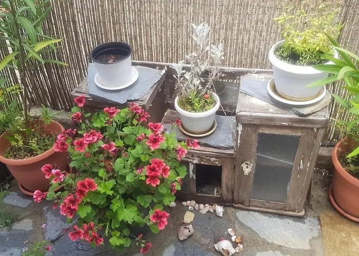 Antique Къща за гости