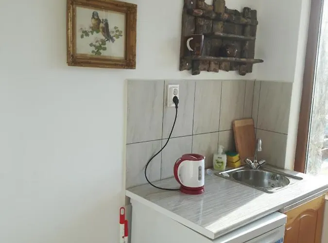 Antique Къща за гости 3*